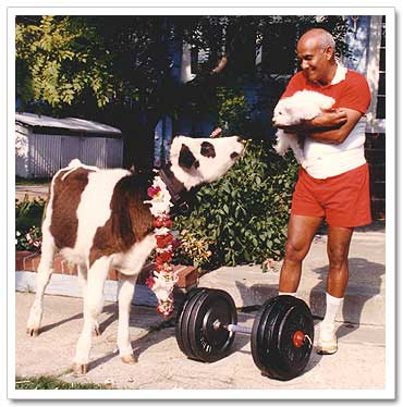  calf and dumbbell weigh the same